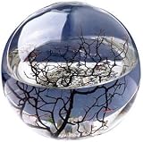 Kitchen & Housewares : Ecosphere