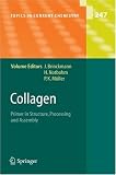 Collagen: Primer in Structure, Processing and Assembly