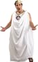 Adult Men's Plus Size "Bluto" Animal House Toga costume XL