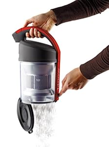 Cash back for  Polti Forzaspira C110