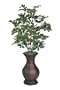 Artificial Green Scheffelera Floor Plant in Rattan
