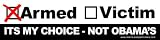 Anti Obama Bumper Sticker - Gun Control - Bumper Sticker Decal
