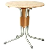 �|�[�� �e�[�u�� �i�i�`�������j