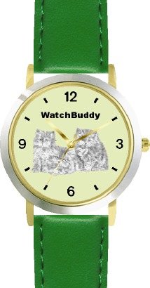 Persian Kittens (SC) CAT - WATCHBUDDY® DESIGNER DELUXE TWO-TONE THEME WATCH - Arabic Numbers-EMERALD ISLE STYLE - Light Green Dial with Green Leather Strap-Women's Size-Small