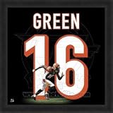A.J. Green Cincinnati Bengals 20x20 Framed Uniframe Jersey Photo