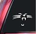 Carolina Panthers Face #1 Vinyl Decal Sticker - White