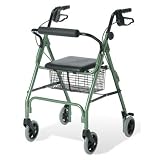 Guardian Envoy 460 Economy Rolling Walker - Color Blue