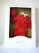 Franklin Mint The Jackie Collector Bear Wardrobe Collection - Red Suit
