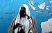 IntelCenter: Know Thy Enemy Terrorism DVD Series: al-Qaeda V028: Osama bin Laden: Thoughts Over al-Aqsa Intifadah