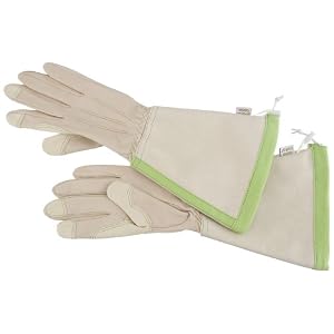 Angela's Garden 7104-401L Gauntlet Leather Glove, Beige with Green, Large