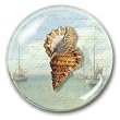 Seashell - Crystal Dome Paperweight