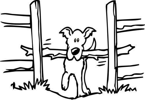 outdoor dog fence