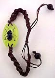 Large Rose Chafer Beetle Glowing Bracelet Bug Insect