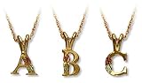 Landstroms Black Hills Gold Initial Necklace "H" - PE513 Landstroms Black Hills Gold Initial Necklace "H" - PE513