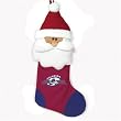 Colorado Avalanche NHL Santa Holiday Stocking (22")