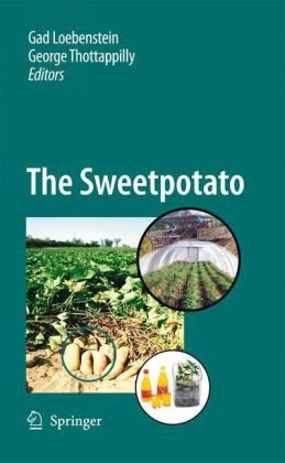 The Sweetpotato The Sweetpotato
