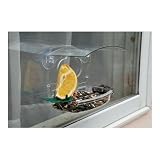 Woodlink NAWFDR Audubon Mixed Treat Window Feeder