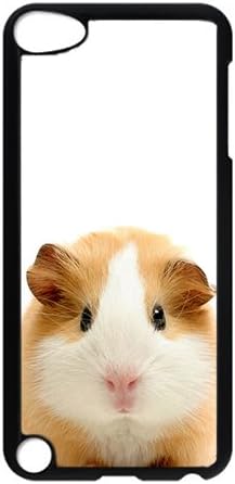 iPod 5 Case,VUTTOO® Cover With Photo: Guinea Pig For iPod Touch 5 - PC Black Hard Case