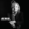 Image of album by Joe Walsh