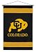 Colorado Golden Buffaloes Sideline Wall Hanging (29x45) NCAA