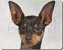 ENGLISH TOY TERRIER DOG PRINT Mouse Mat