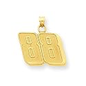 14K Gold NASCAR Dale Earnhardt Jr #88 Large Charm
