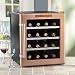 Price Comparison : Wine Enthusiast Silent 16 Bottle Wine Refrigerator (Copper Trim Door