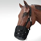 Economy Grazing Muzzle with Halter Horse