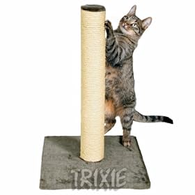 Parla 62cm Cat Scratcher Cats Scratching Post