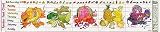Rainbow Food Chart