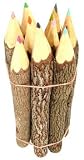 Twig Colored Pencil Set