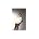 Jake Shimabukuro - Jake Shimabukuro Press Photo
