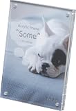 �ʐ^���� Acrylic Frame Some �i�A�N�����t���[�� �T���j L��