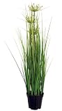 Artificielles - Cyperus, en pot, 80cm artificiel