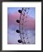 Detail of London Eye, London, United Kingdom Places Framed Art Poster Print by Richard I'Anson, 18x22