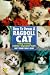 Search : Guide to Owning a Ragdoll Cat [GT OWNING A RAGDOLL CAT]