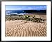 Dune Plants and Beach, Robberg Nature and Marine Reserve, Plettenberg Bay, South Afri...