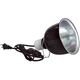 Zoo Med Mini Deep Dome Lamp Fixture with 5.5-Inch Dome, Black