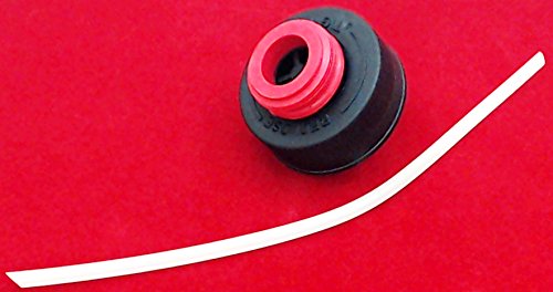 Bissell Lift-off Water Tank Cap and Insert, 2032287