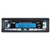 Naxa NCA-670 Detachable Stereo AM/FM Car Radio with Compact Disc Player and Aux-In Jack