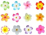 Bundle Monster Hawaiian Plumeria Flower Foam Hair Clip Accessory Set 12 Jewelry