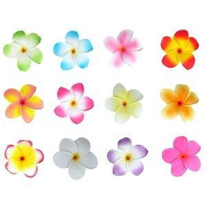 Bundle Monster Hawaiian Plumeria Flower Foam Hair Clip Accessory Set 12 Jewelry
