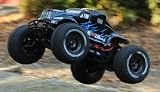 1/8th Exceed-RC MAD BEAST Nitro-Powered Monster RC Truck 100% RTR (COLORS VARY SENT AT RANDOM)
