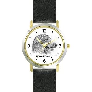 Afghan Hound Watch