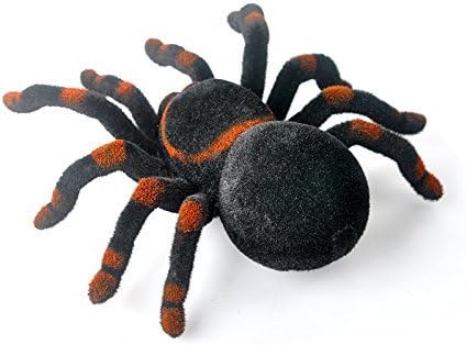 SPIDER RC Tarantula - 2.4GHz Frequency, Support Android + iOS
