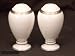 Noritake Rochelle Platinum 3-3/4-inch Salt & Pepper Shakers