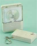 Remote Security Light
