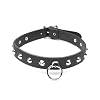 Leder Halsband