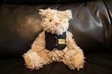 7.5" Chandler Boston Bruins Bear