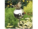 Ailsa Qs8 Bird On Steel Ball